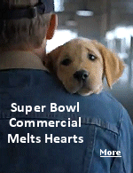 Budweiser's 2014 Super Bowl commercial is about a puppy who keeps escaping his adoption center and makes friends with a Clydesdale on a nearby farm.